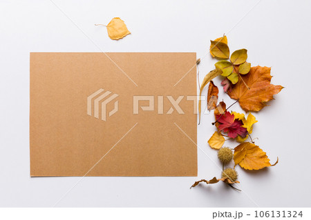 Autumn composition with paper blank and dried leaves on table. Flat lay, top view, copy space 106131324