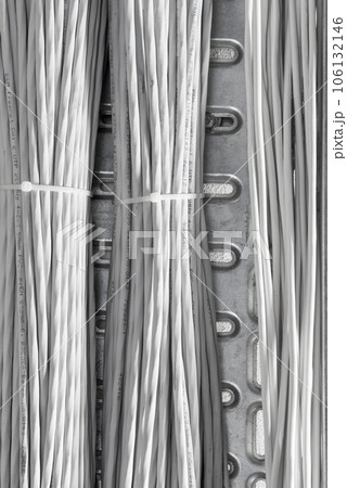 detail of large number of ethernet cables tied together connecting racks inside server room 106132146