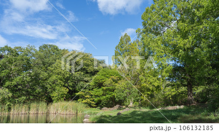 晴れた日の公園|千葉県千葉市・泉谷公園 晴れた日の公園|千葉県千葉市・泉谷公園 106132185