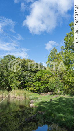 晴れた日の公園｜千葉県千葉市・泉谷公園 106132186