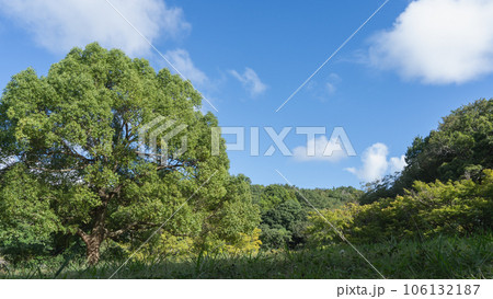 晴れた日の公園|千葉県千葉市・泉谷公園 晴れた日の公園|千葉県千葉市・泉谷公園 106132187