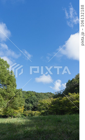 晴れた日の公園｜千葉県千葉市・泉谷公園 106132188