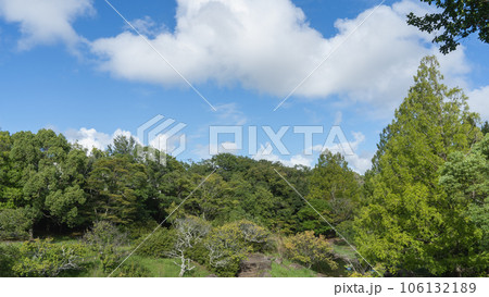 晴れた日の公園｜千葉県千葉市・泉谷公園 106132189