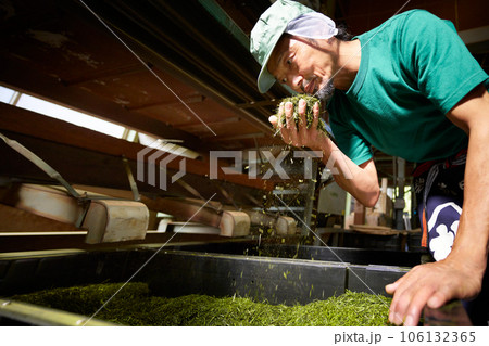 製茶工場で荒茶の香りをチェックするベテランの茶師 製茶工場で荒茶の香りをチェックするベテランの茶師 106132365