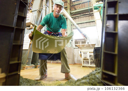 製茶工場で働く男性スタッフ 106132366