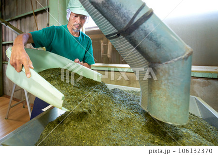 製茶工場で荒茶の仕上げをする工程 製茶工場で荒茶の仕上げをする工程 106132370