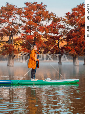 Woman travelling on stand up paddle board at the river between swamp trees in US 106132844