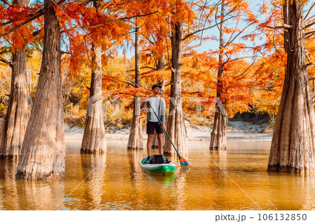 Man on stand up paddle board at the lake between Taxodium trees Man on stand up paddle board at the lake between Taxodium trees 106132850