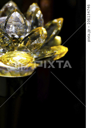 ハス スイレン 蓮 106134746