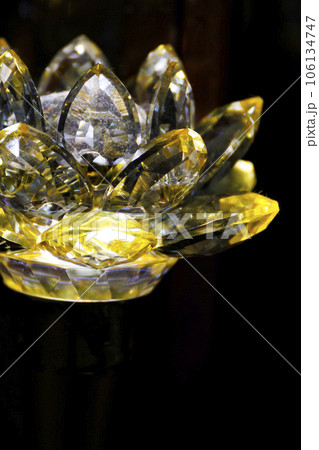 ハス スイレン 蓮 106134747