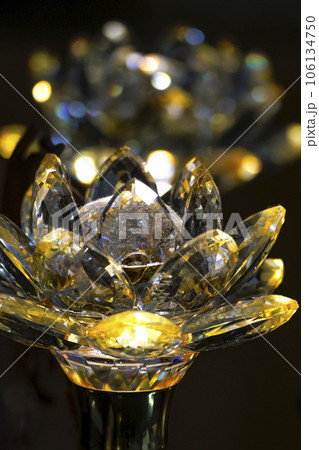 ハス スイレン 蓮 106134750