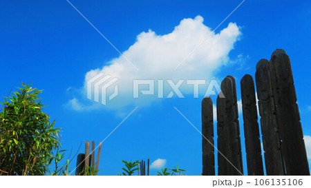 墓地（霊園）の風景 106135106