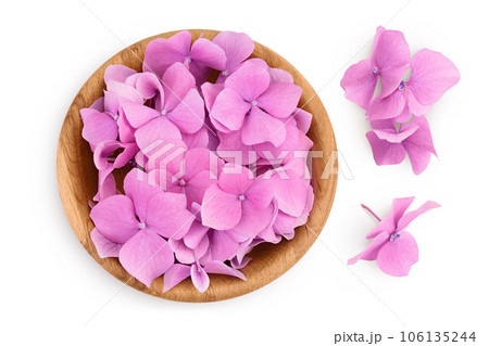 Pink Hydrangea flower in wooden bowl isolated on white background. Top view. Flat lay 106135244