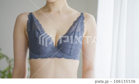 下着・ブラジャー・美容・ダイエット 下着・ブラジャー・美容・ダイエット 106135536
