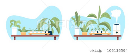 Houseplants in room with dry air and with humid air thanks to humidifier. Indoor ficuses, palms and cactus. Household electronic equipment, cartoon flat style isolated vector concept Houseplants in room with dry air and with humid air thanks to humidifier. Indoor ficuses, palms and cactus. Household electronic equipment, cartoon flat style isolated vector concept 106136594