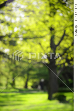 Blurry background spring park Blurry background spring park 106138173