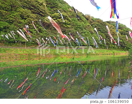 北九州市小倉南区の紫川鯉のぼりのある風景 106139050