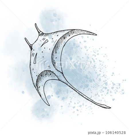 Manta Ray with watercolor spot. Drawing of Stingray in outline style painted by black inks on isolated background. Line art of underwater animal. Sketch of marine wild life for icon or logo. Manta Ray with watercolor spot. Drawing of Stingray in outline style painted by black inks on isolated background. Line art of underwater animal. Sketch of marine wild life for icon or logo. 106140528