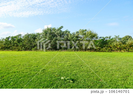 徳富川の河川敷・夏！ 106140701
