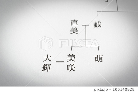 家系図　夫婦　婿　婿養子　相続 106140929