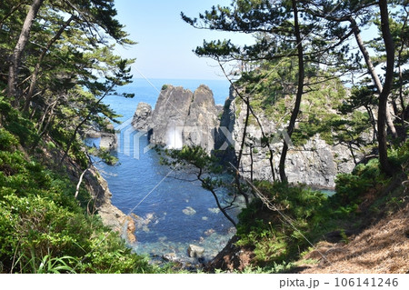 夏の碁石岬の千代島 岩手 夏の碁石岬の千代島 岩手 106141246