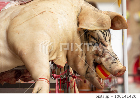 中国 チャイナ 磁器 106141420