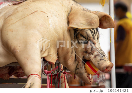 中国 チャイナ 磁器 106141421
