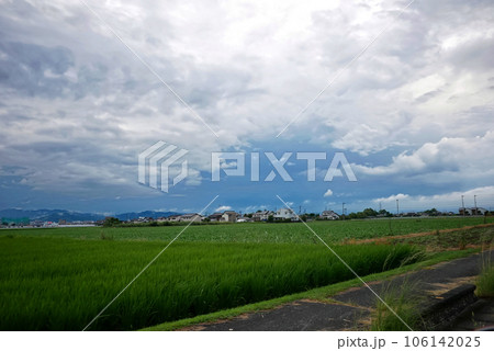 車から見える夏の風景 106142025