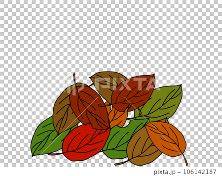 Fallen leaves  106142187