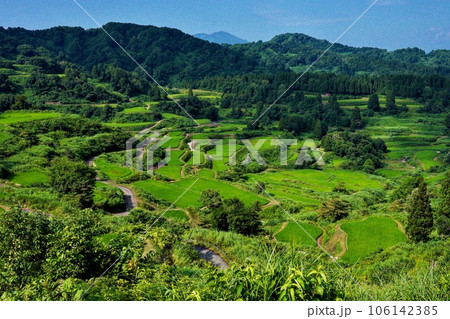 新潟県十日町市にある星峠の棚田(真夏) 新潟県十日町市にある星峠の棚田(真夏) 106142385