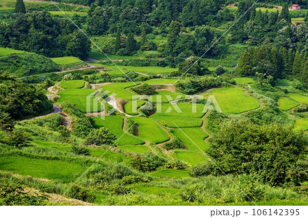 新潟県十日町市にある星峠の棚田(真夏) 新潟県十日町市にある星峠の棚田(真夏) 106142395