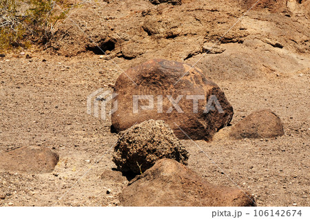 Petroglyphs Native American Rock Art Petroglyphs Native American Rock Art 106142674