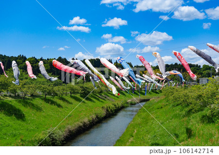 川の上を泳ぐ鯉のぼり 106142714