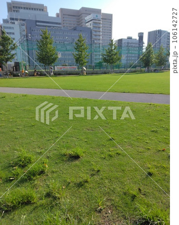 芝生広場 芝生広場 106142727