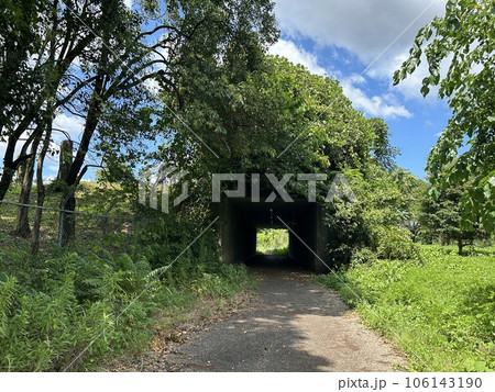 各務原飛行場の誘導路跡(戦争遺構) 各務原飛行場の誘導路跡(戦争遺構) 106143190