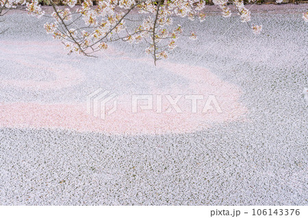 東北の春絶景　弘前城外堀の花筏 106143376