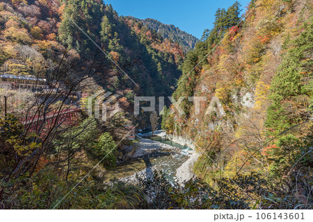 富山県 黒部峡谷 中部山岳国立公園 欅平の紅葉 富山県 黒部峡谷 中部山岳国立公園 欅平の紅葉 106143601