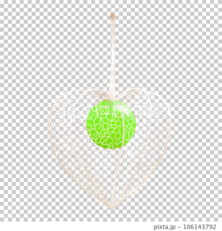 網ほおずきのイラスト 網ほおずきのイラスト 106143792