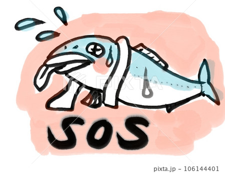 海水温上昇で苦しむ魚 海水温上昇で苦しむ魚 106144401