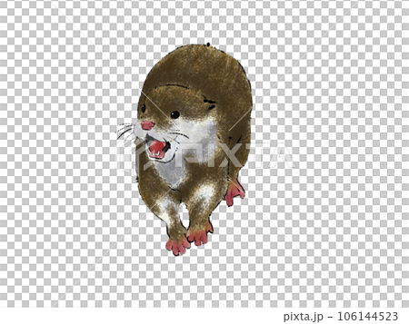 大きな声で鳴くカワウソのイラスト 大きな声で鳴くカワウソのイラスト 106144523