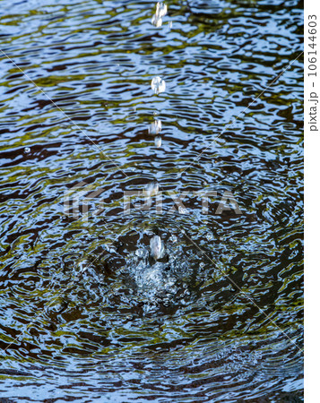 背景素材　夏の清涼な景色　水鉢に波紋を作る清涼な水滴 106144603