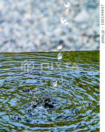 背景素材 夏の清涼な景色 水鉢に波紋を作る清涼な水滴 背景素材 夏の清涼な景色 水鉢に波紋を作る清涼な水滴 106144647