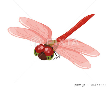 Illustration of Akiakane _ diagonally above - Stock Illustration