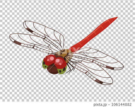 Illustration of Akiakane _ Diagonal upper _ Feather transmission Illustration of Akiakane _ Diagonal upper _ Feather transmission 106144882