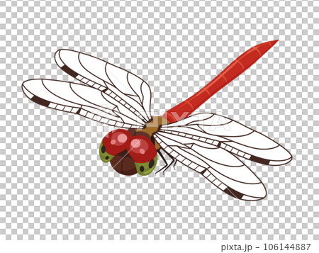 秋金的插圖_斜頂_Hajiro 106144887