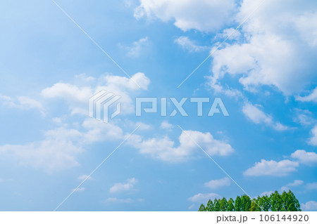 大空と樹木 背景素材 大空と樹木 背景素材 106144920