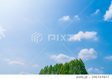 大空と樹木 背景素材 大空と樹木 背景素材 106144927