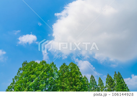 大空と樹木 背景素材 大空と樹木 背景素材 106144928