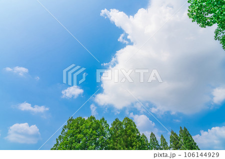 大空と樹木 背景素材 大空と樹木 背景素材 106144929