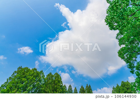 大空と樹木  背景素材 106144930